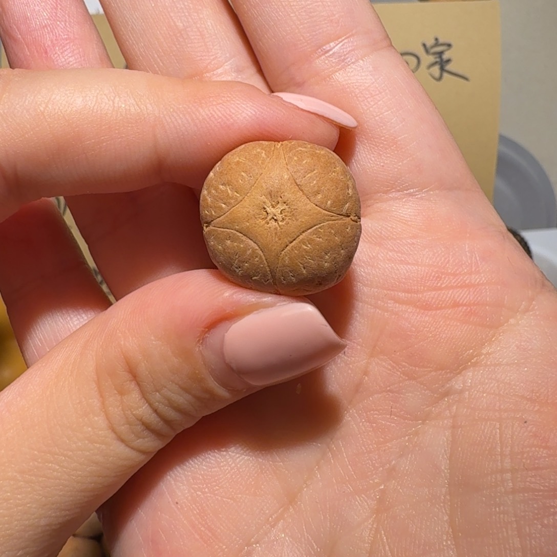 緣***妳吊坠麒麟眼菩提缘来是你