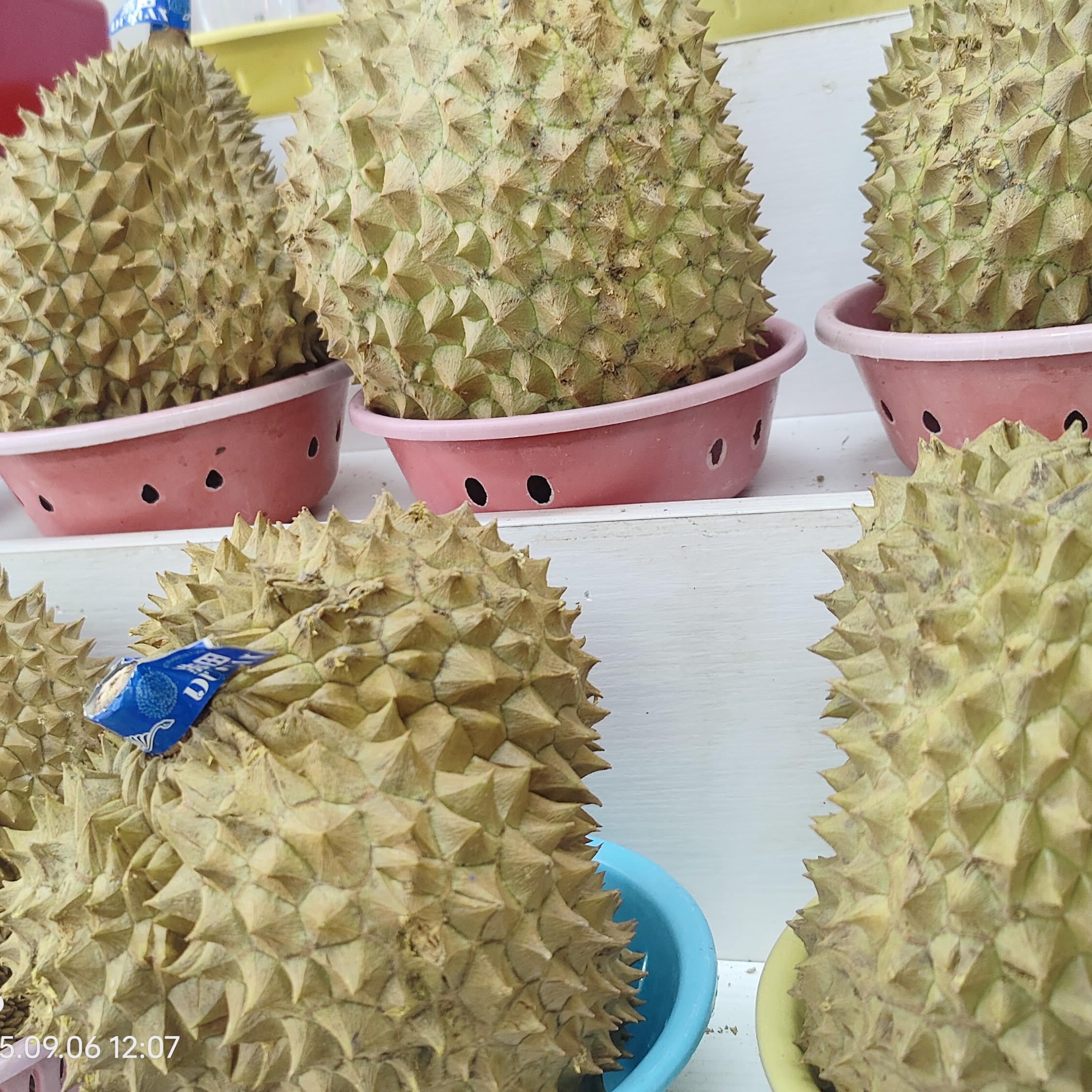 何晓泰国金枕榴莲新鲜热带水果整个带壳鲜果皮薄肉厚核小98元一只，4.斤左右到5.斤左右之间金枕泰国