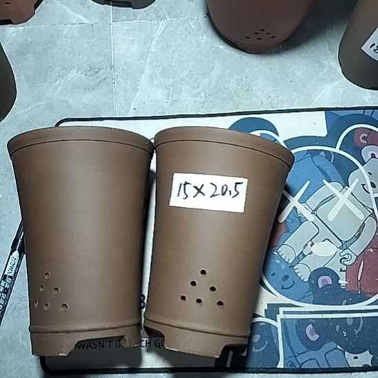 紫砂新品两个微瑕