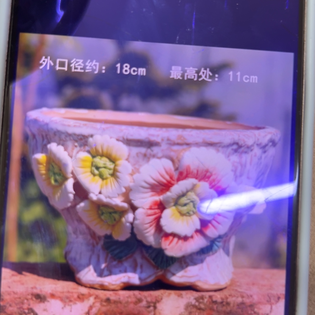 满20米飞秒拍秒付多肉花盆