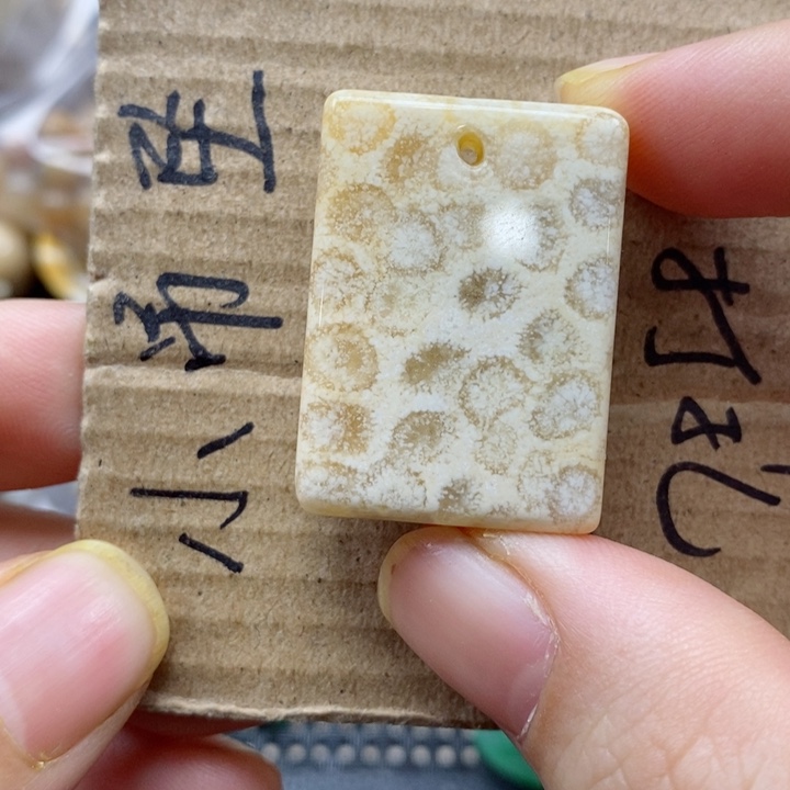 硅化珊瑚（珊瑚玉）颈饰未镶嵌