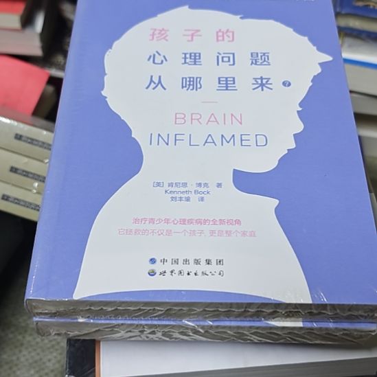 孩子的心理问题从哪里来平装库存书