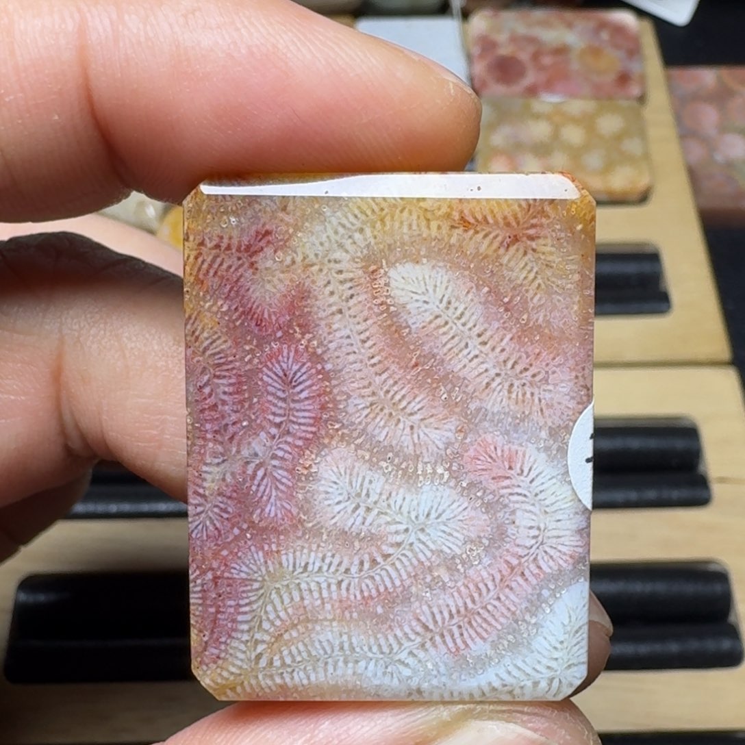 硅化玉纯天然色有机玉石未镶嵌