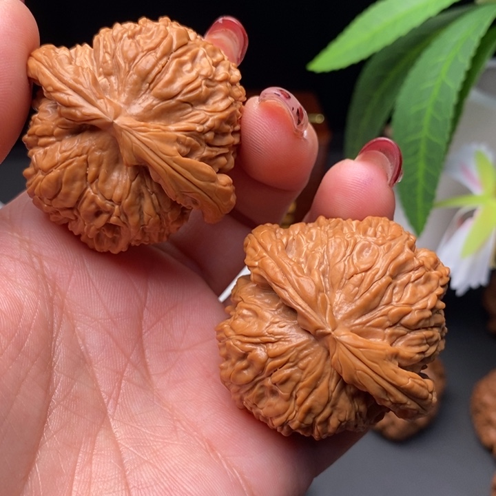 文玩核桃把件?*哥白狮子