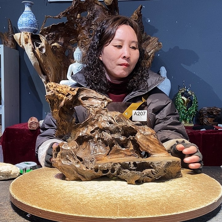 李207株木底座随行根艺