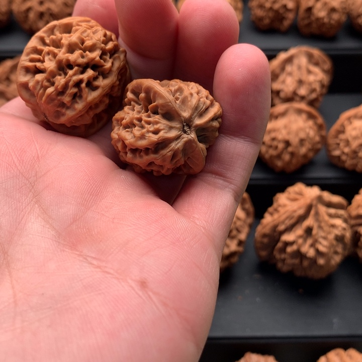 其他核桃苹*树秦岭的一座