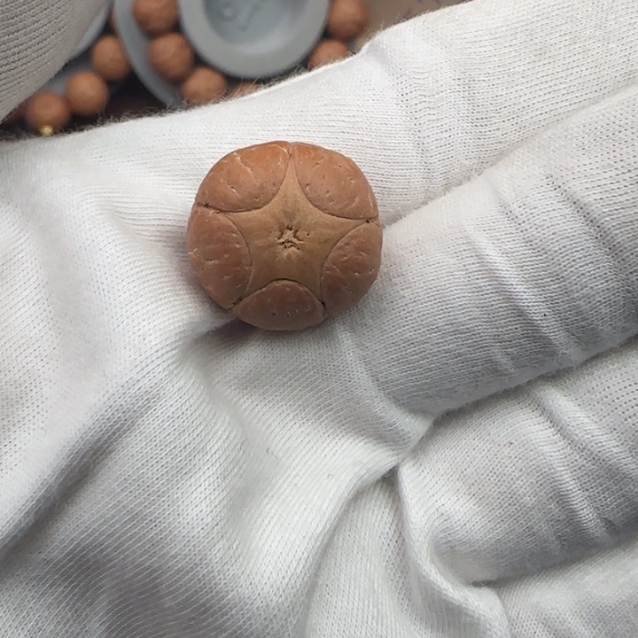 天***风凤眼菩提吊坠，五星打孔不退不换