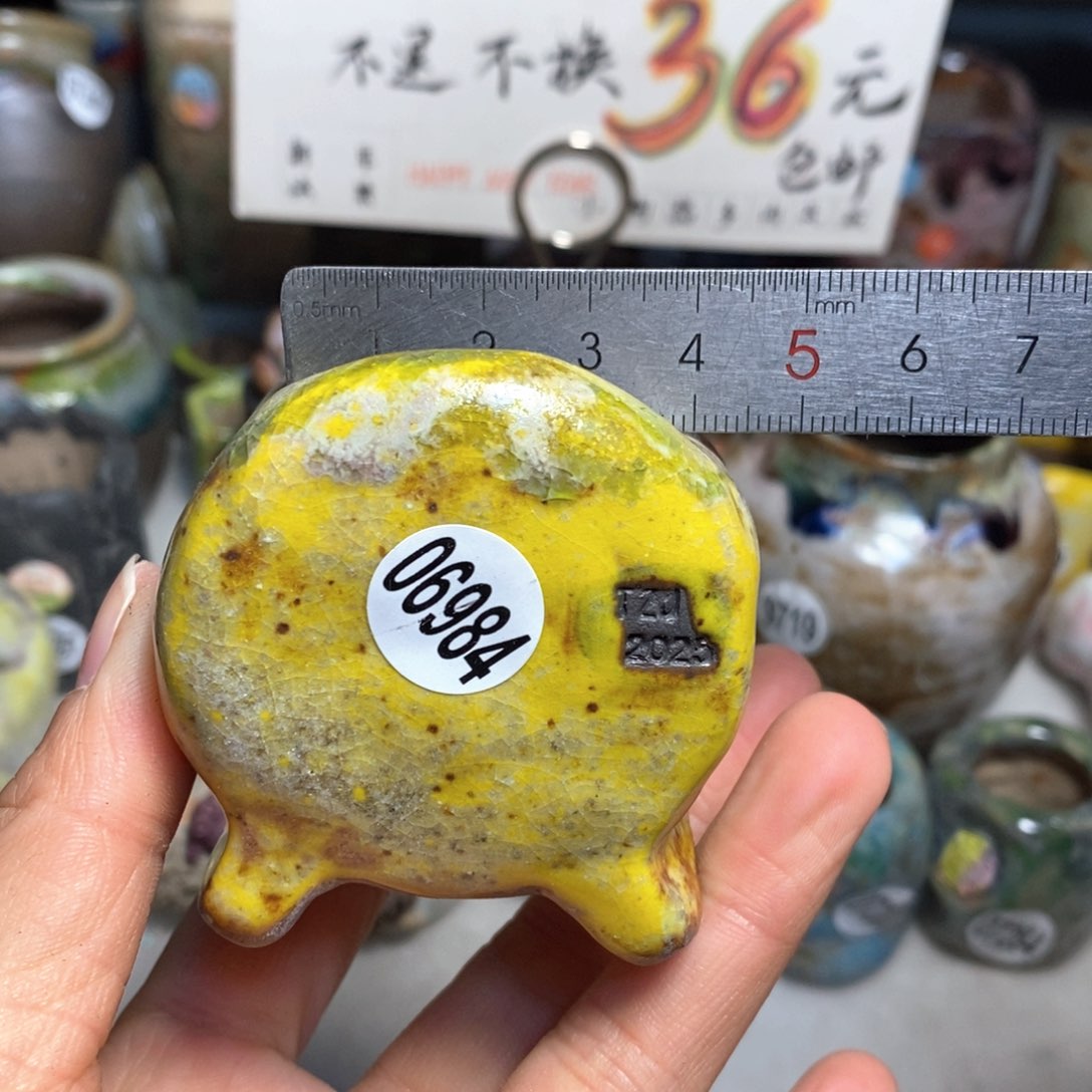 花盆拍3送一个小礼物