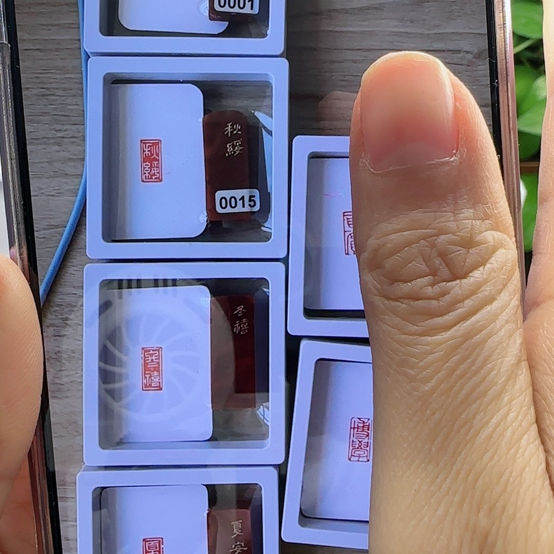 寿山石印石拂**海四季白文