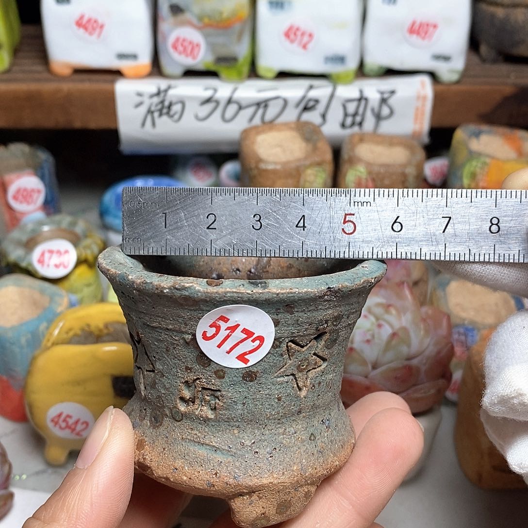 红陶拍5送一个小