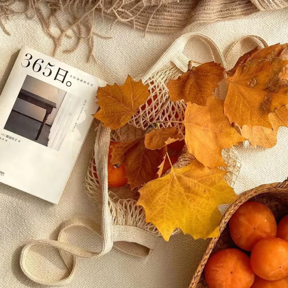 2025秋季新品纯欲辣妹休闲风套装连衣裙(No退No换)