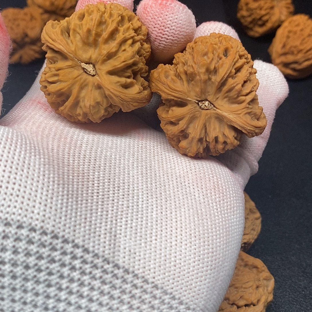 41高炮南疆石核桃