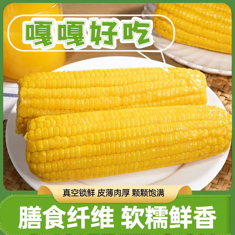 【新疆直发】新疆头茬黄糯玉米棒白糯软糯香甜真空包装甜早餐8根装