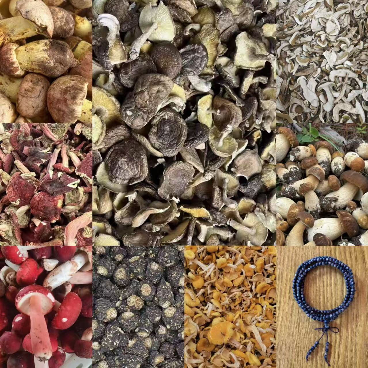 ADS111土特产/多样性发货