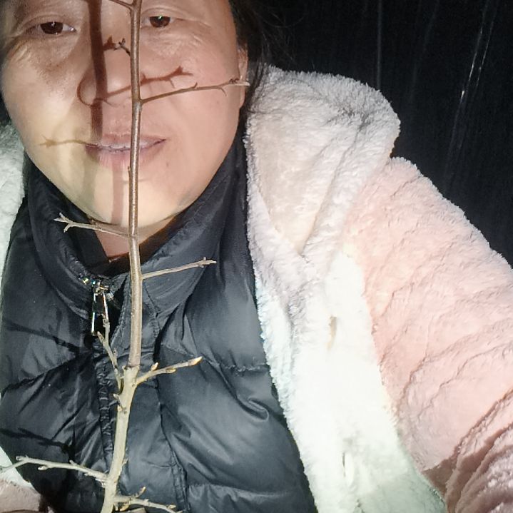 三***行无花朵12346656586