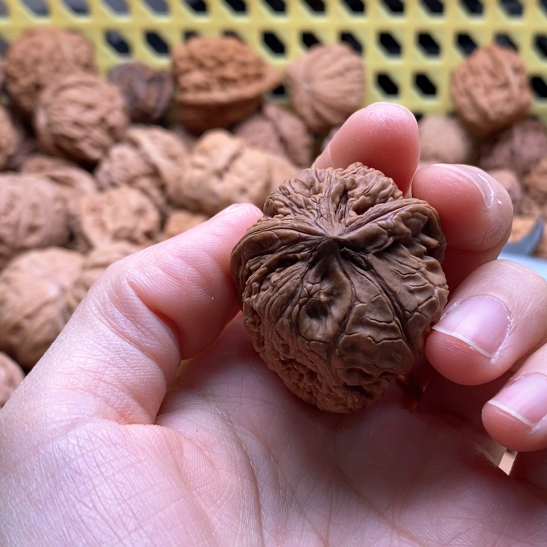 静***朗核桃定制商品不退不换