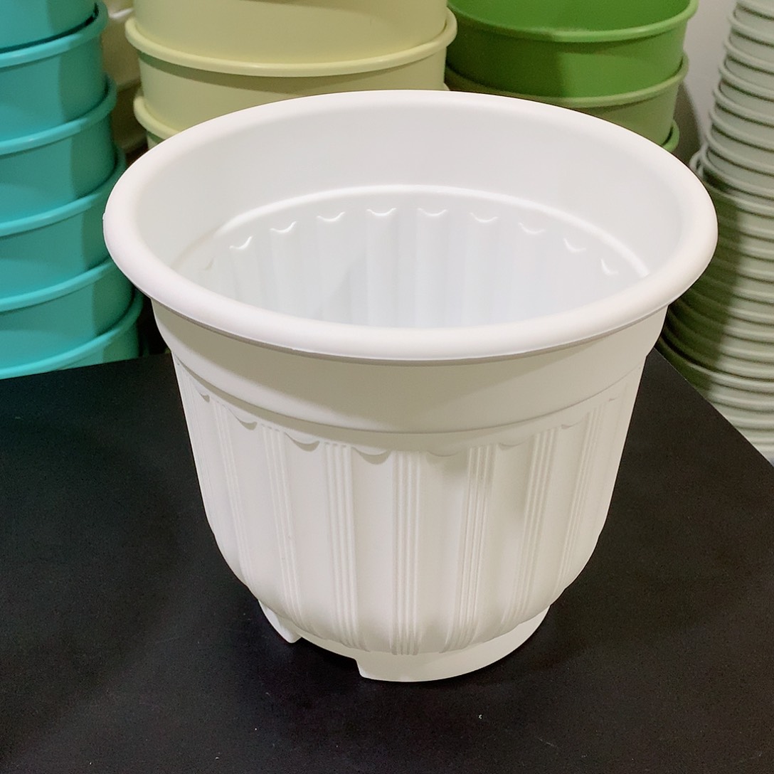 树脂罗马口21白5个无托