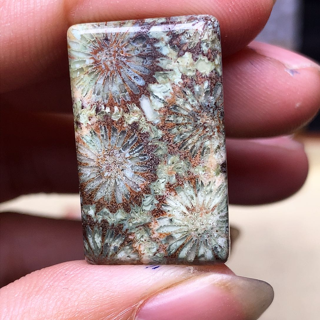 硅化玉珠宝奇石合金丽*