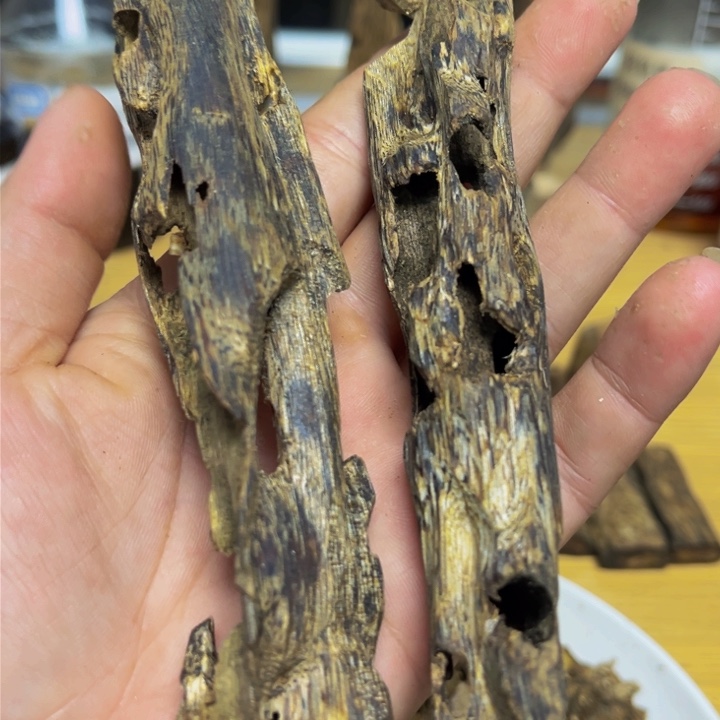 沉香沉香碎屑千里香虫漏