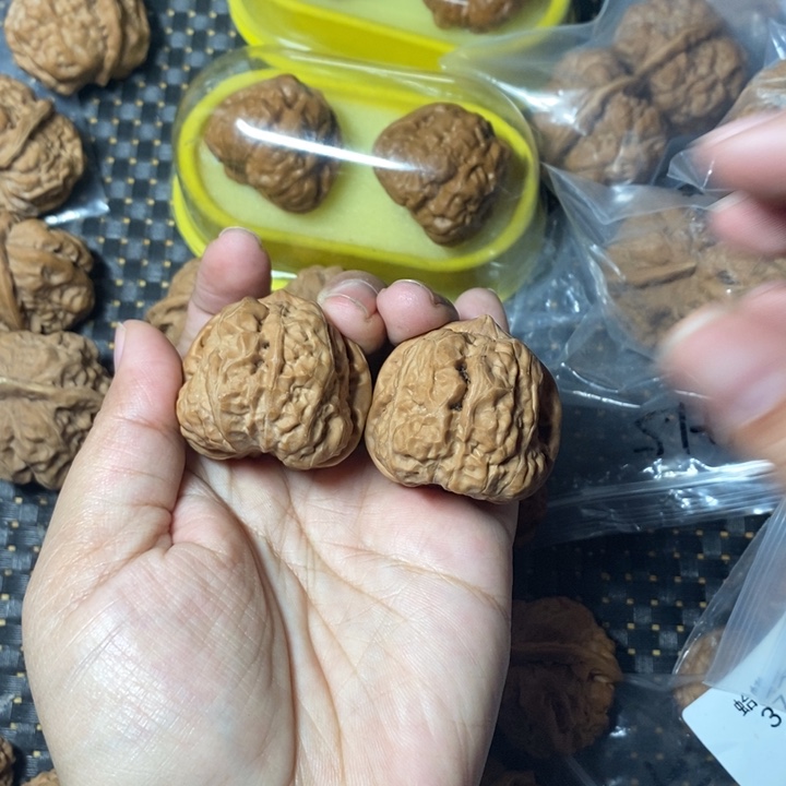 文玩核桃把件蛤蟆40全