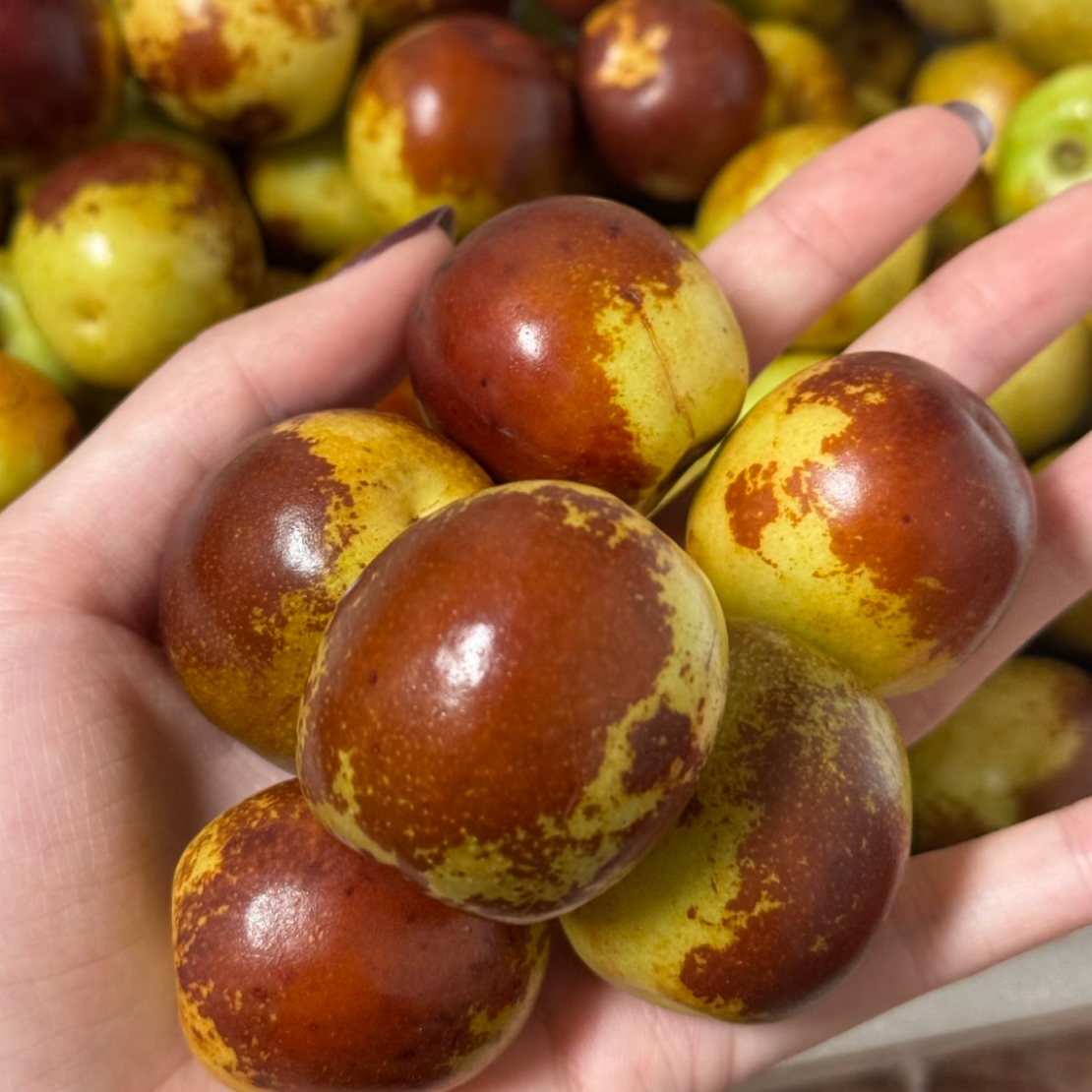 冬枣 一盒装250g