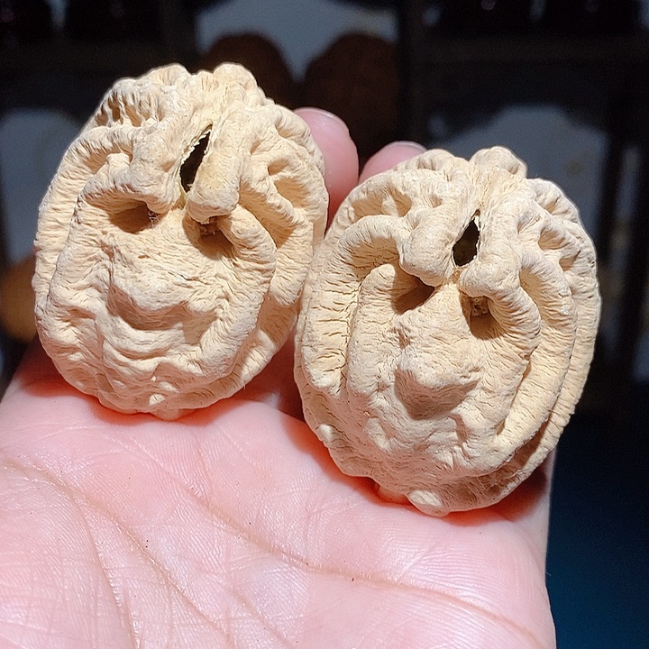 野生鬼脸乾坤核桃3849