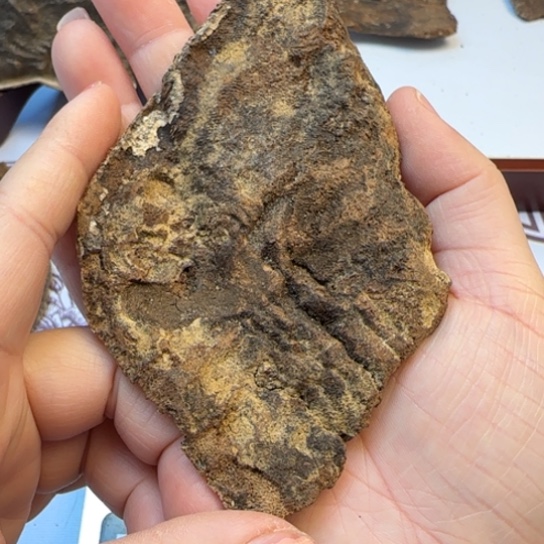 沉香摆件香港厚包头14.7克