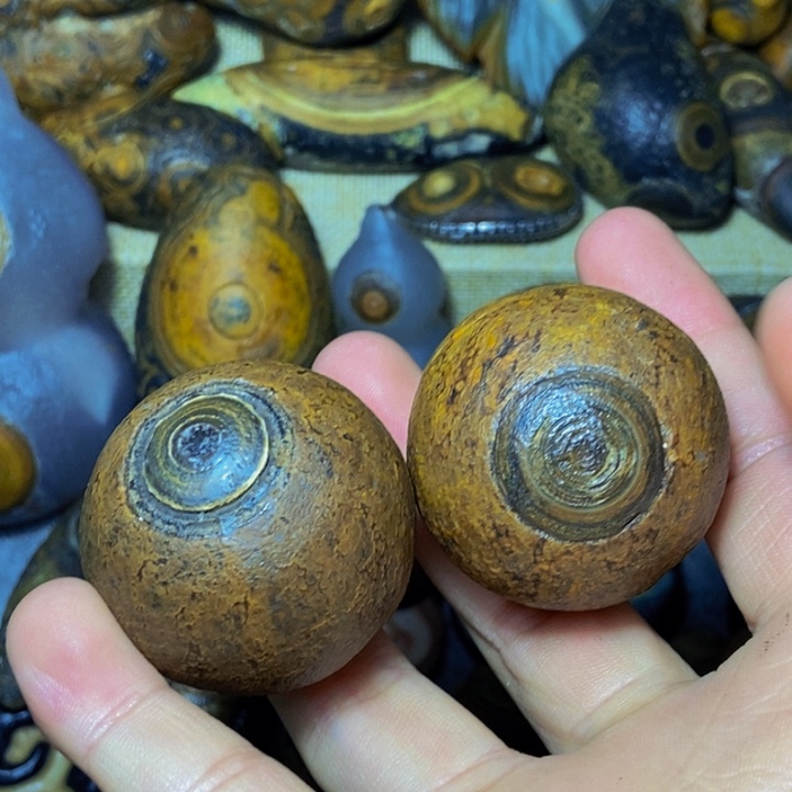 天***涯大叶紫檀（黑酸枝木类）