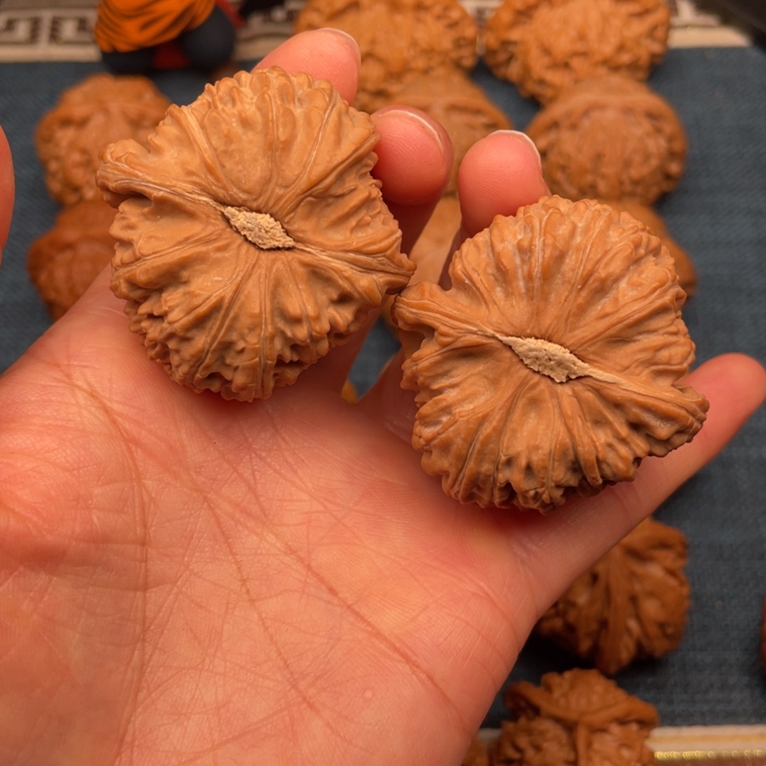 把件文玩核桃44全品毕业卡姿兰大眼睛球白