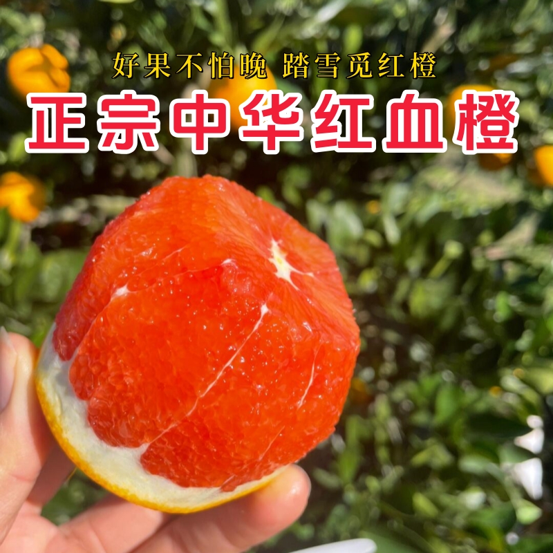 【中奖福利】秭归中华红血橙新鲜红肉脐橙红心橙子甜橙新鲜水果