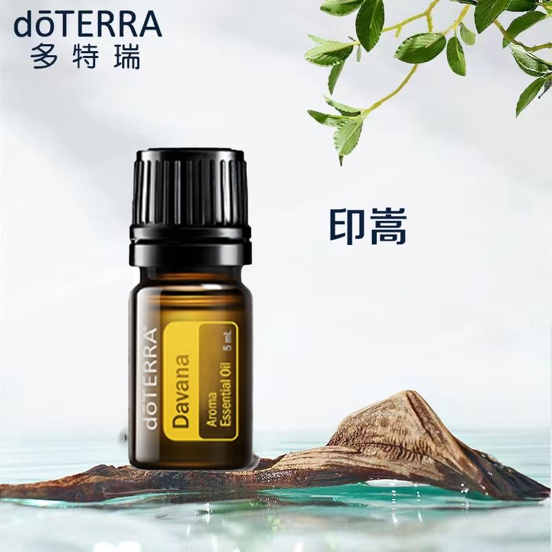 印蒿精油doTERRA多特瑞美国5ml单方精油香熏