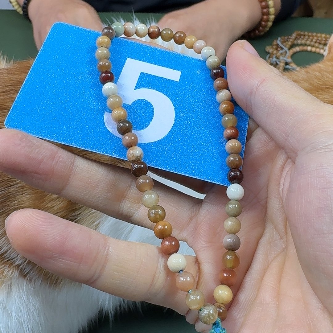 吊坠龙脊菩提龙脊6手持。 5