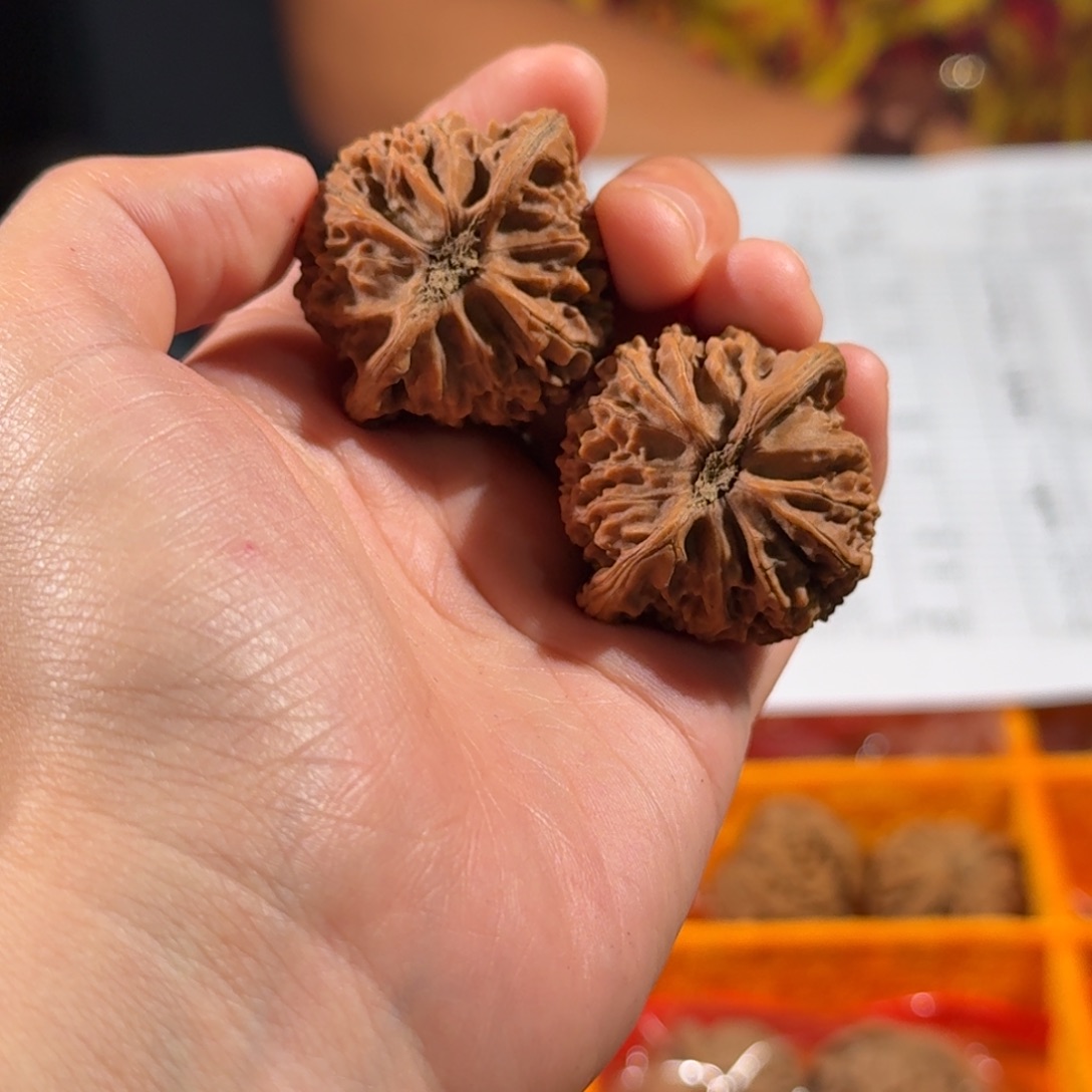 文玩核桃把件617号宫灯狮子头