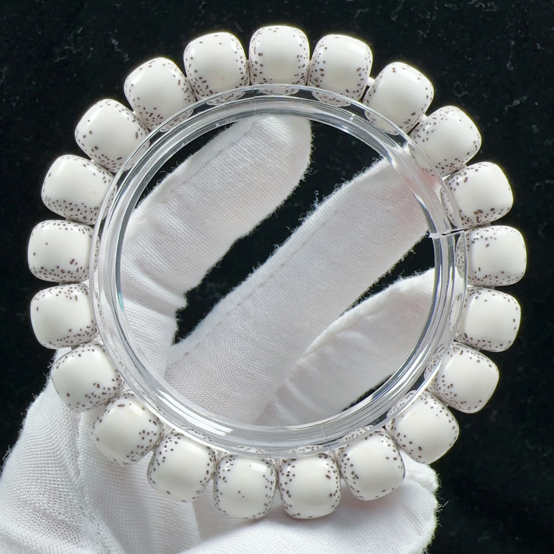 海南料原生态原白火龙果星11.5贯穿通体大留白星月菩提