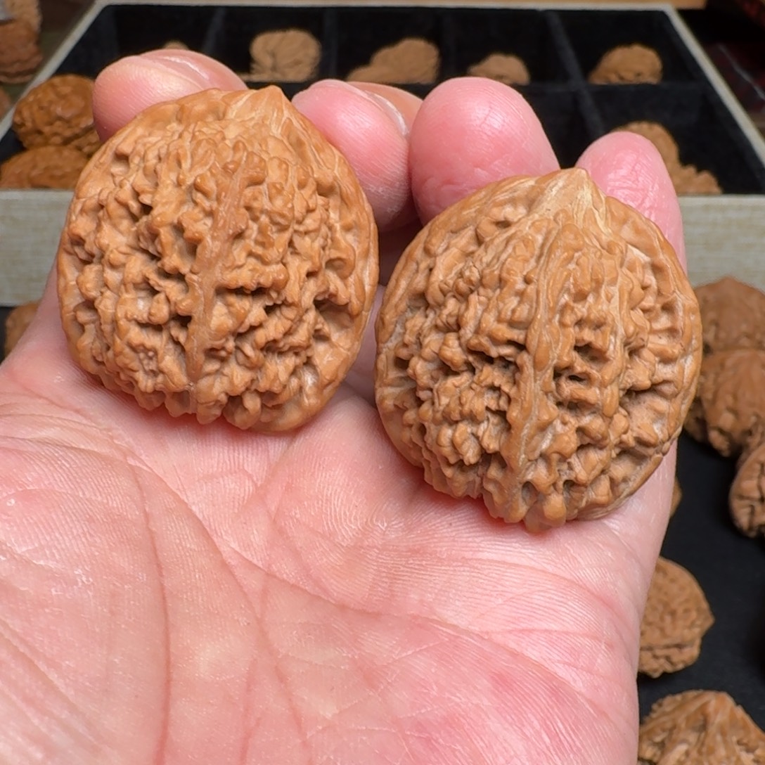 文玩核桃把件全品满天星 尺寸36