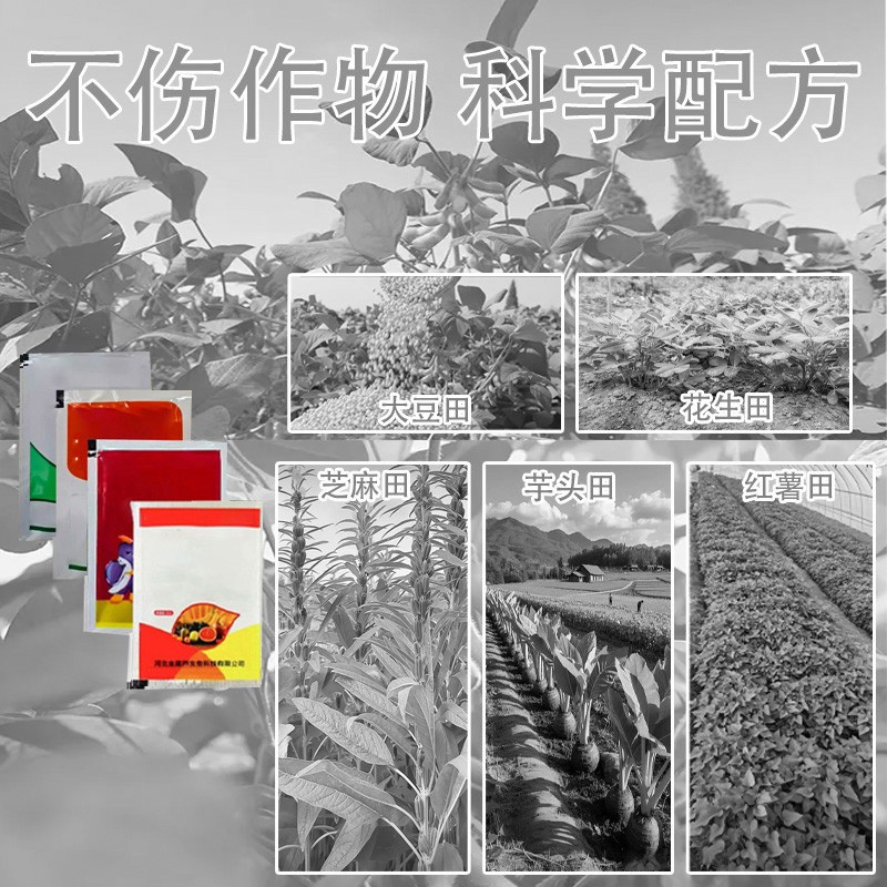 大豆花生红薯芝麻不影响作物生长有机质肥料