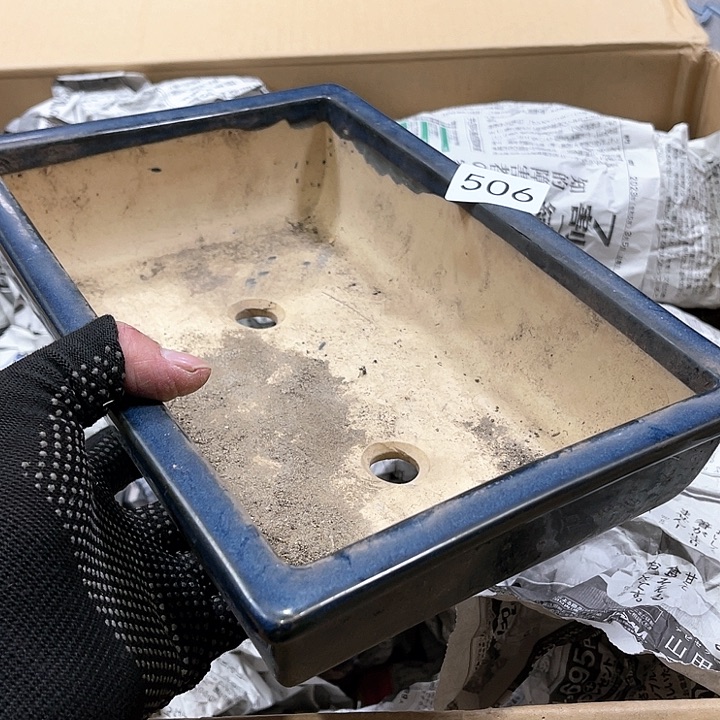 茶宠我们都在努力着改变