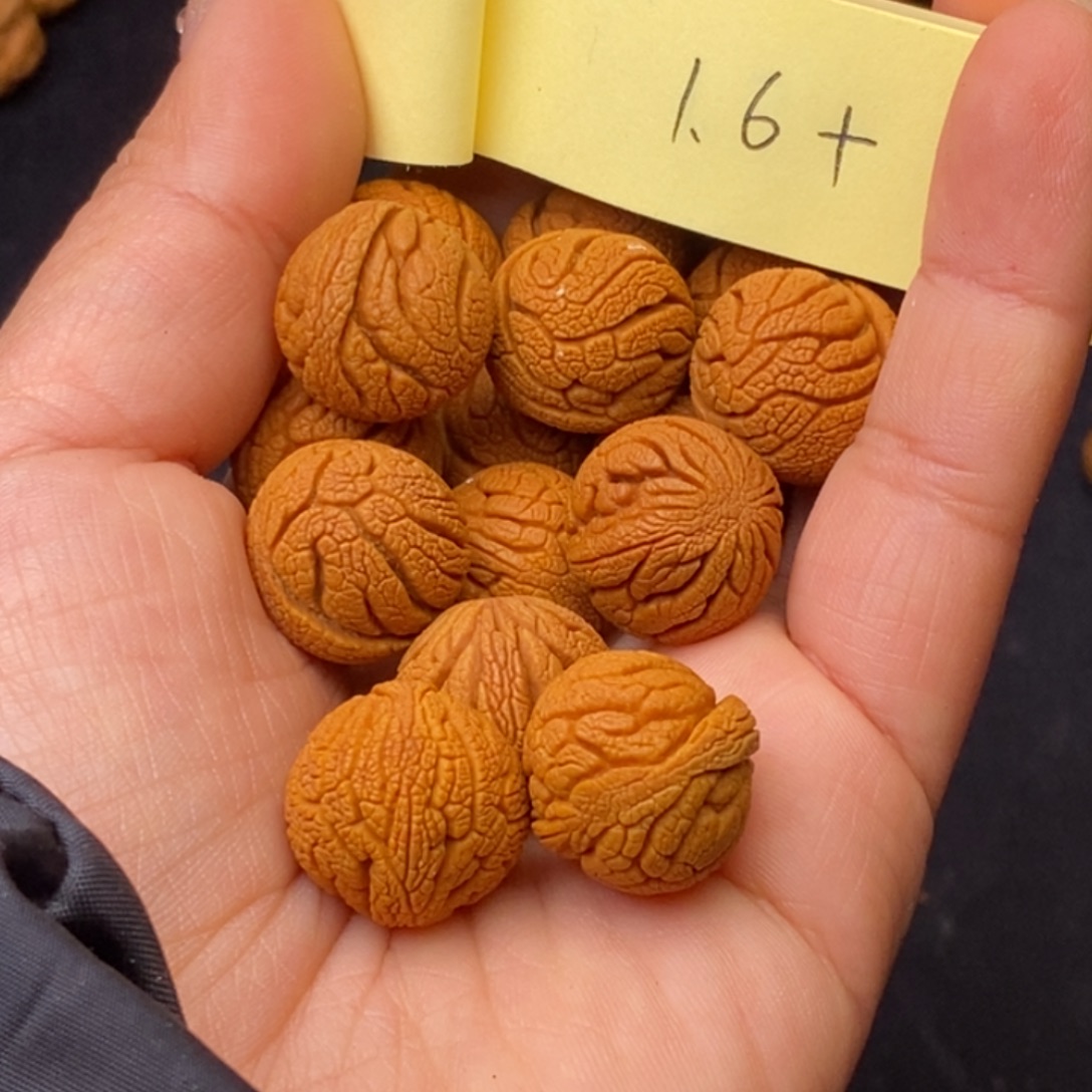 秦岭龙纹桃核15颗