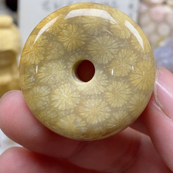 颈饰未镶嵌硅化珊瑚（珊瑚玉）