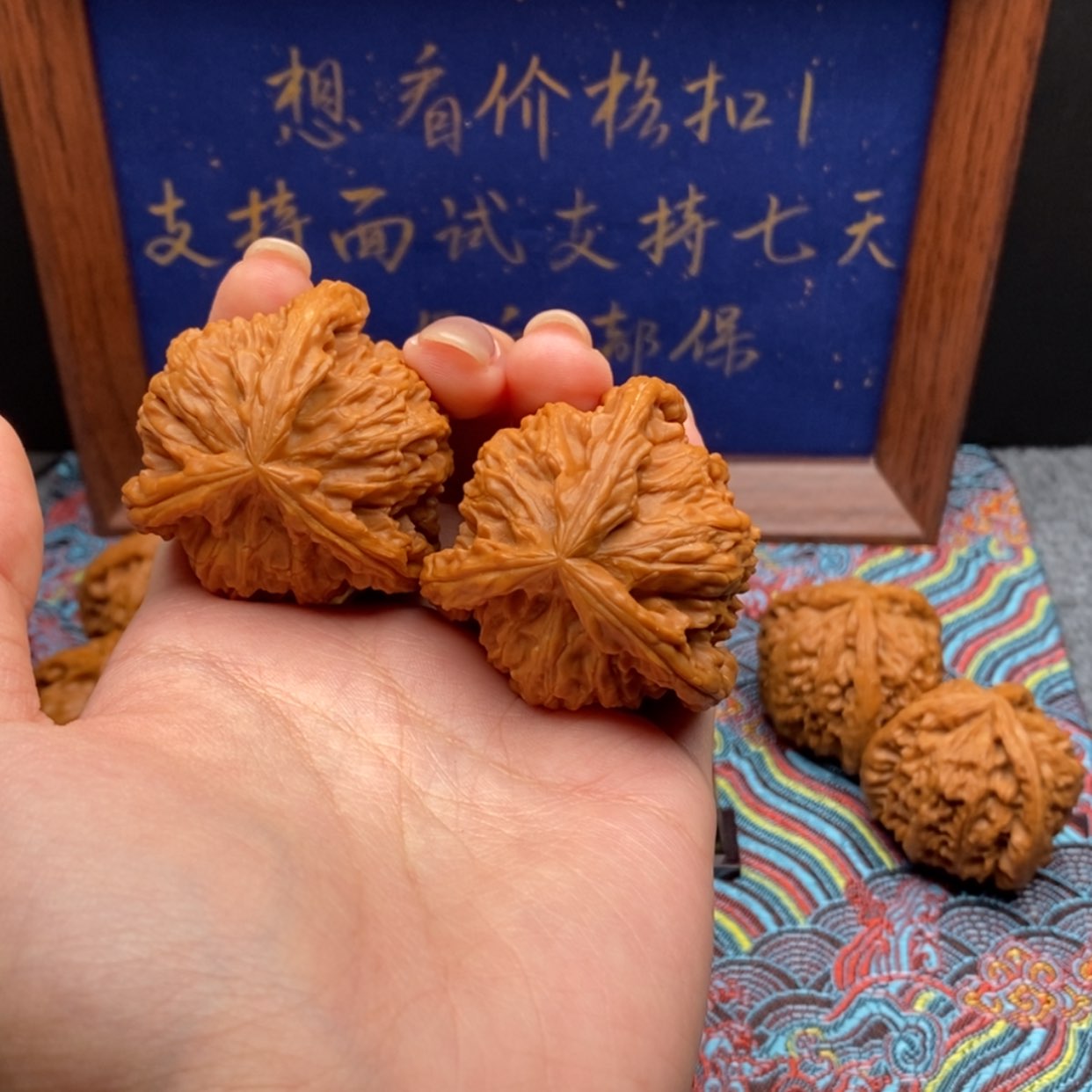【闪购商品】欧白狮