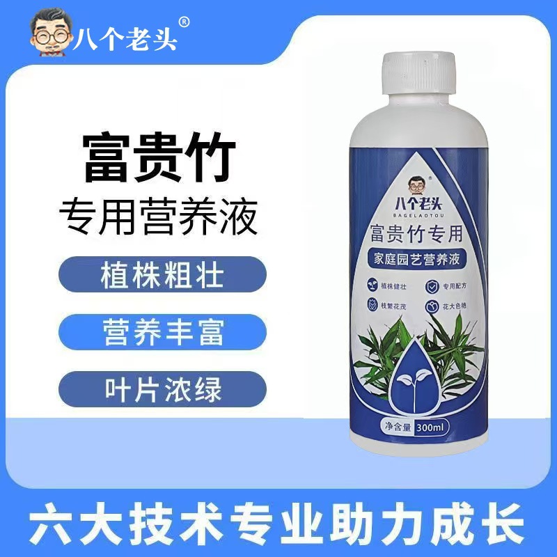 富贵竹水培盆栽植物通用型浓缩营养液改善土壤环境促进植物生长