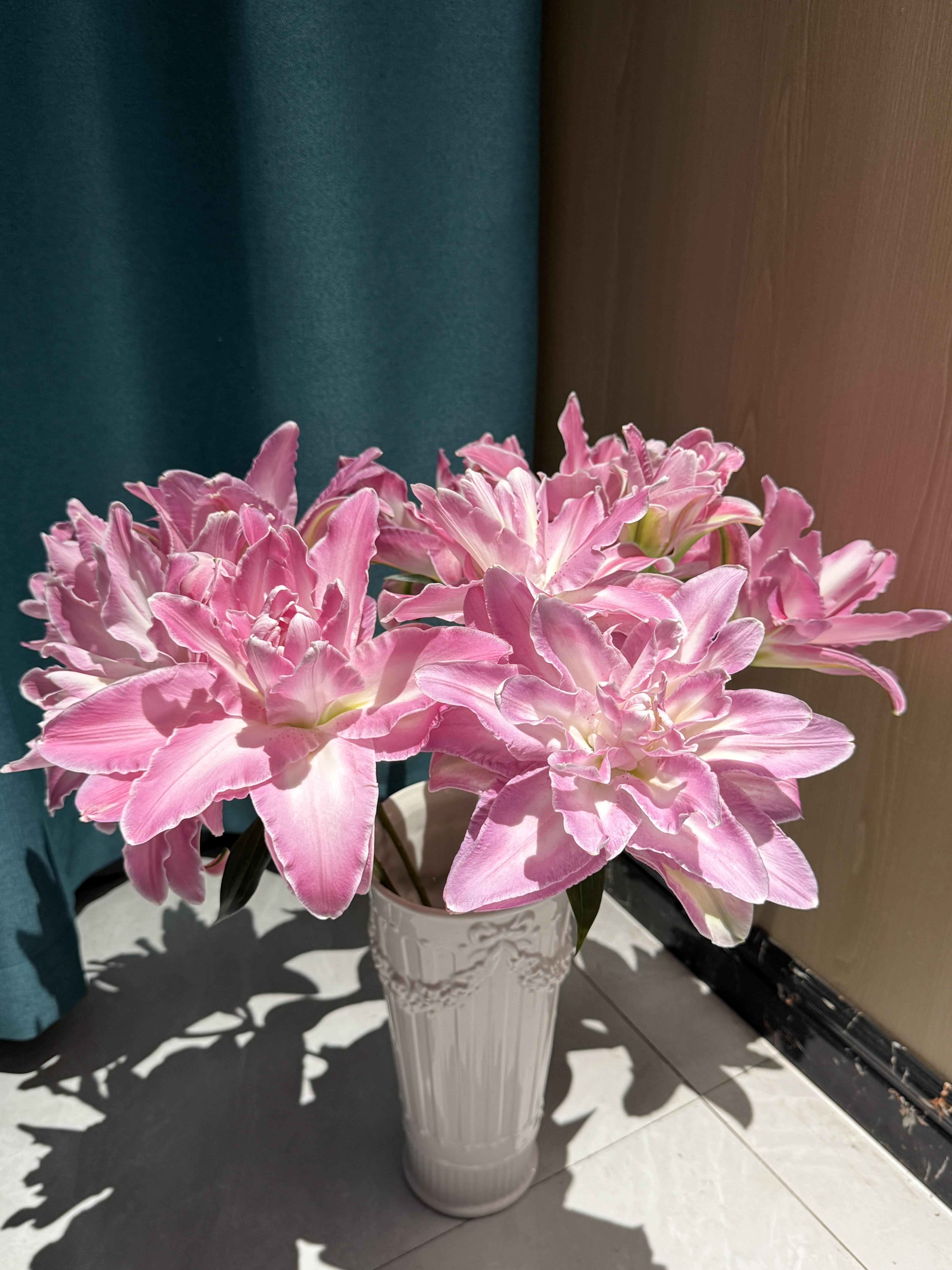 新品莲花仙子重瓣百合  粉色百合  批发花店摆地摊直发一手货源  