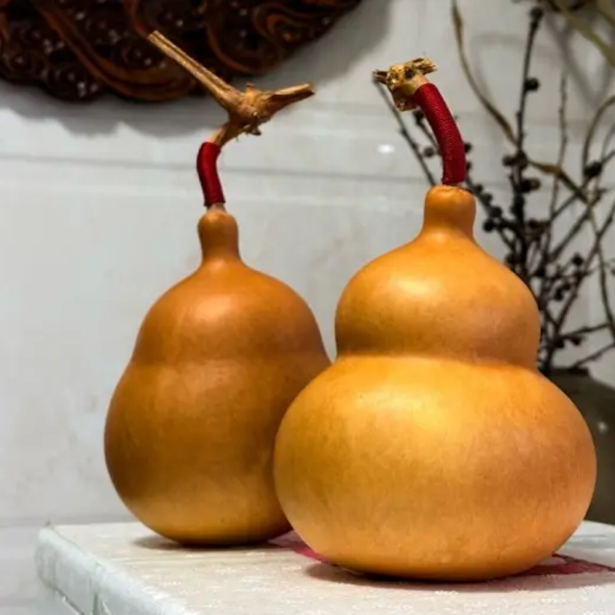 直播间专拍（108~198）