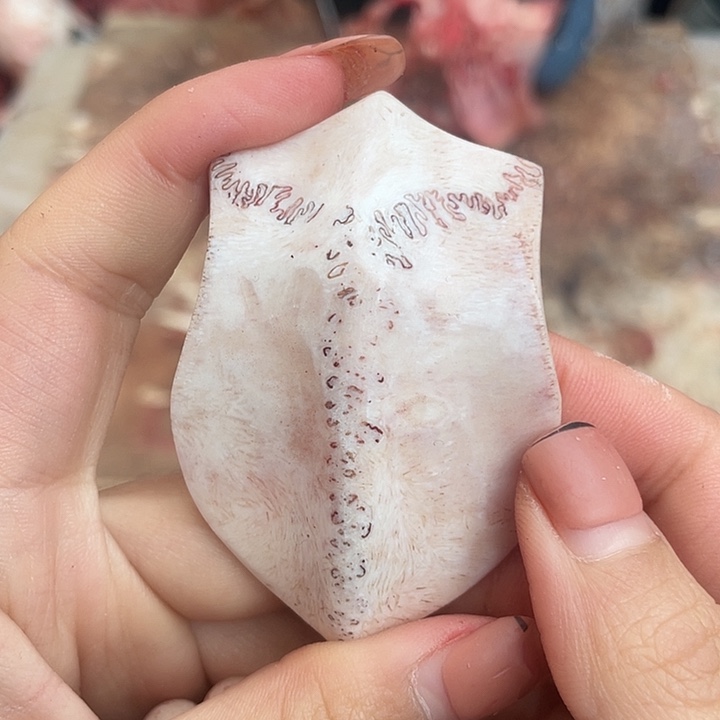 养殖鹿骨三界牌子