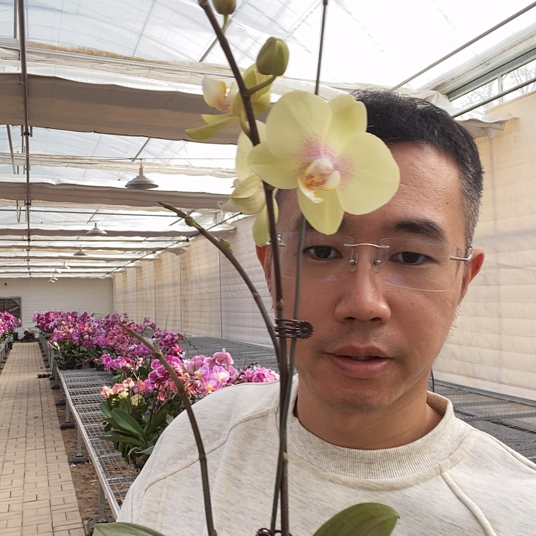 完全开放米黄色红心3.5寸大杯