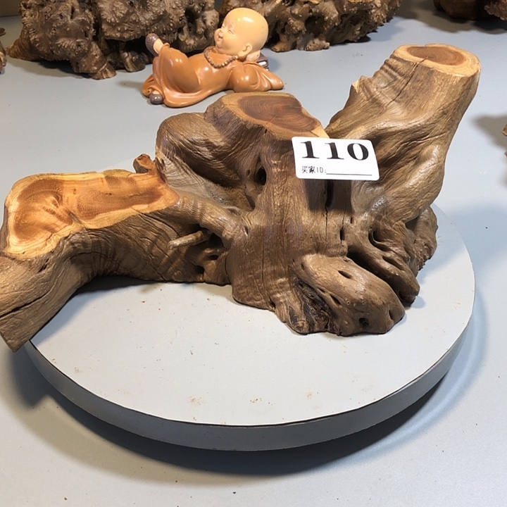 大果紫檀（缅甸花梨）咕**了