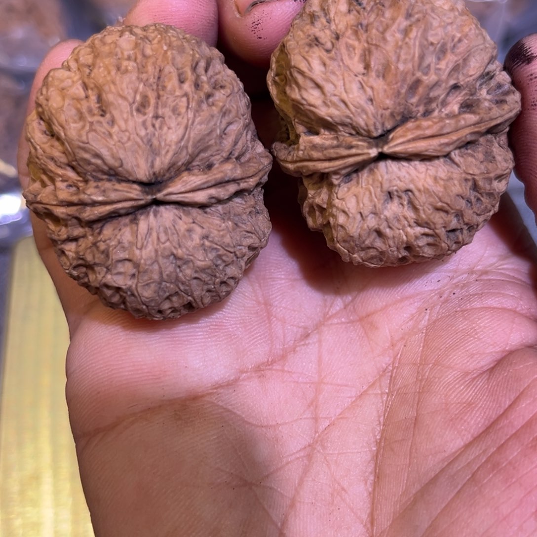 文玩核桃把件红旺云铁50号40mm