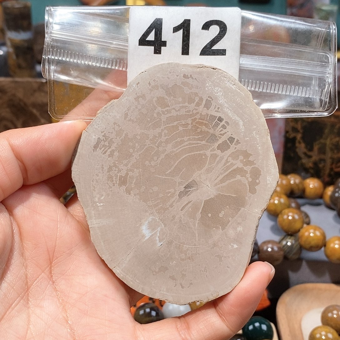 硅化玉天然北票硅化玉原石未镶嵌天然北票硅化玉原石