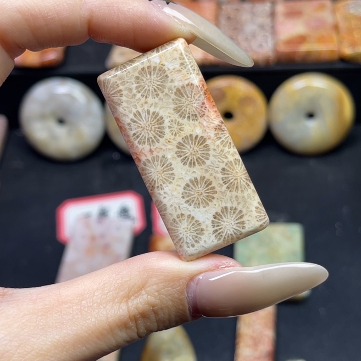 未镶嵌吊坠硅化珊瑚（珊瑚玉）