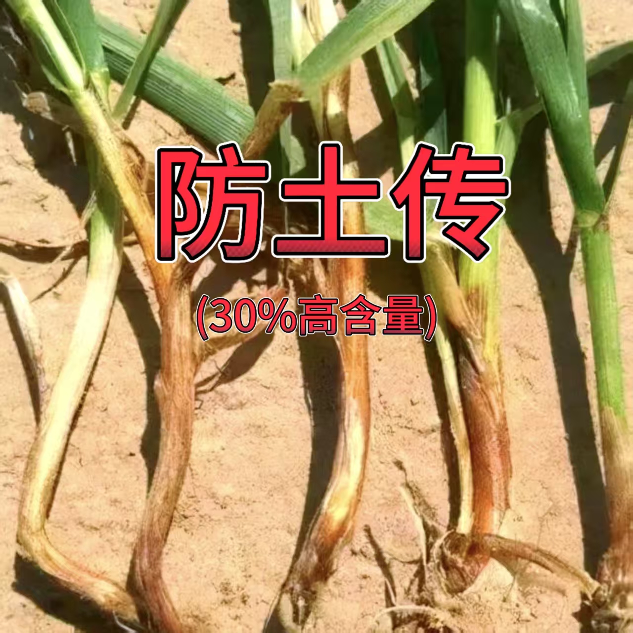 小麦防土传叶面肥